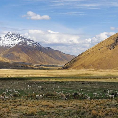 FULL DAY RUTA DEL SOL