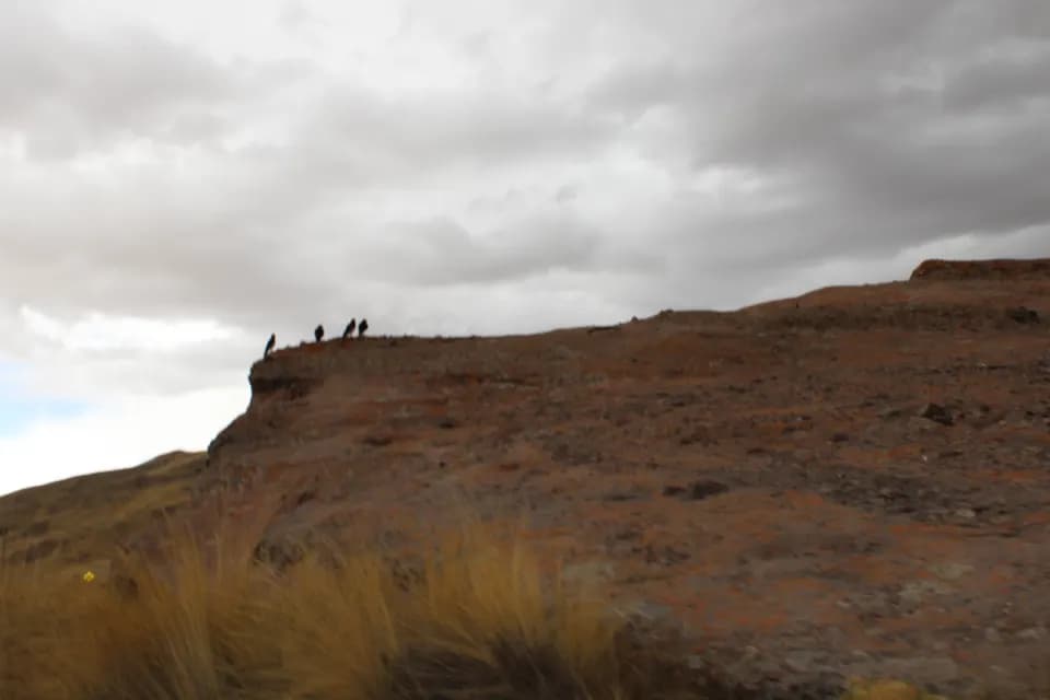 TOUR DIA COMPLETO AL CAÑON DE TINAJANI DESDE PUNO